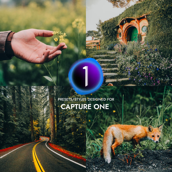 Forest - Capture One Styles